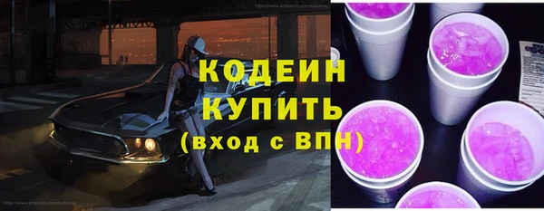 ГАЛЛЮЦИНОГЕННЫЕ ГРИБЫ Бородино