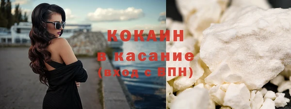 ГАЛЛЮЦИНОГЕННЫЕ ГРИБЫ Бородино