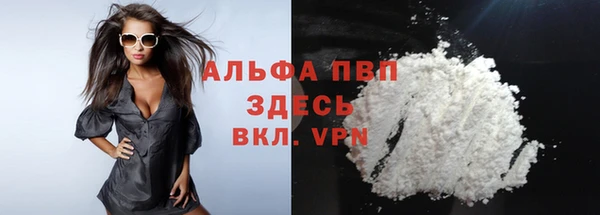 ГАЛЛЮЦИНОГЕННЫЕ ГРИБЫ Бородино